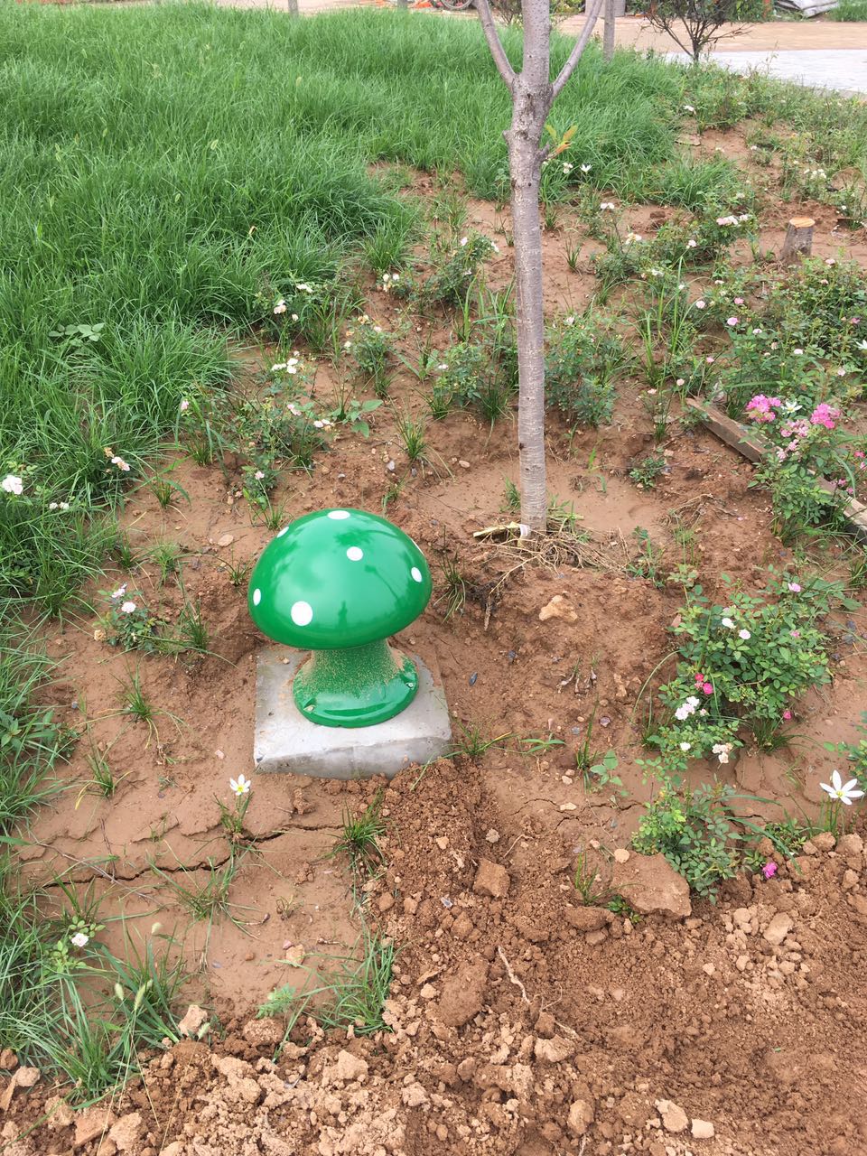 福鹿会·F6(中国)最新官方网站